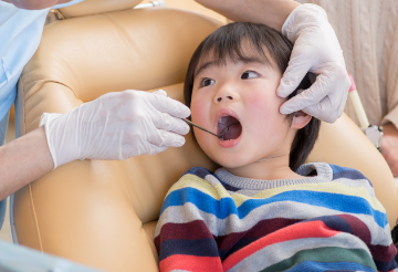 定期的にメンテナンスをする